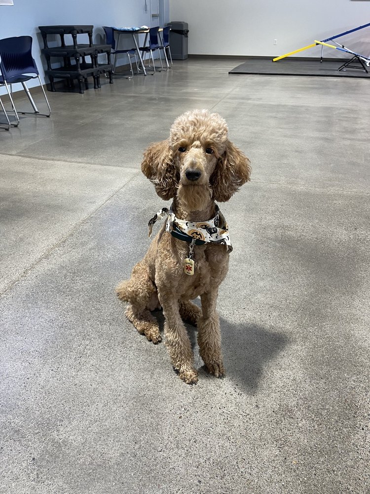 Soldier's Best Friend - social services organization in Peoria, AZ