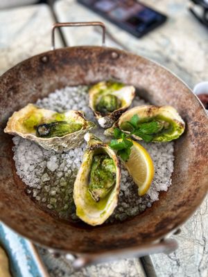 Salt & Stone by null