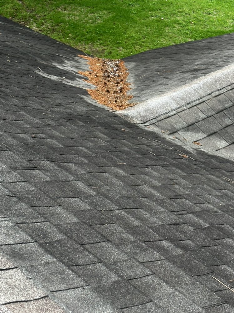 Slide of GOL-B Home Solutions