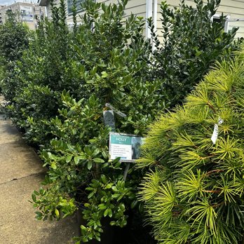 Green Fields Nursery - Nurseries & Gardening Near Me - Baltimore, Maryland