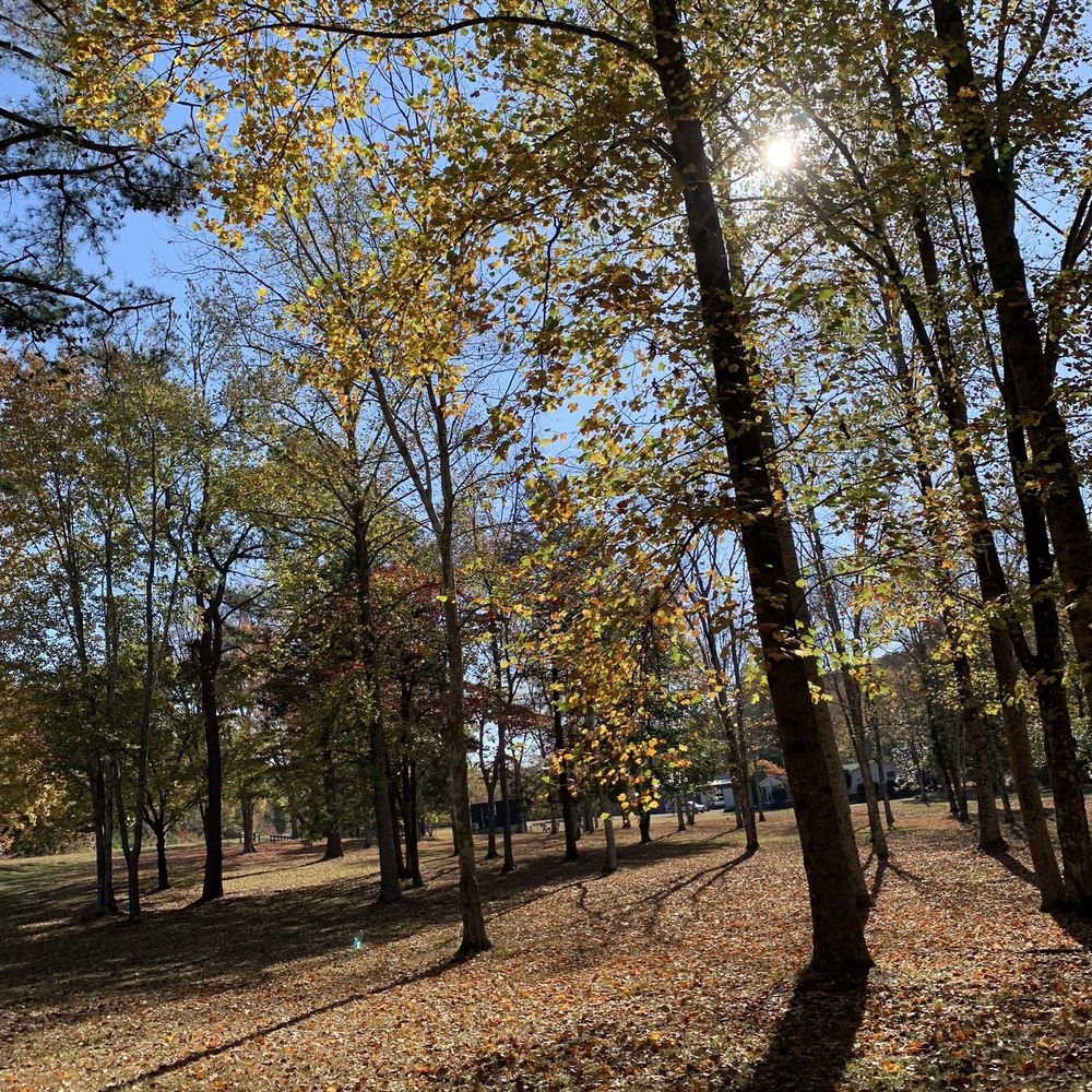 The Best 10 Campgrounds near Camp Mack Morris in Camden, TN Yelp