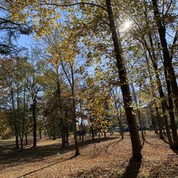 Little Tracks Cabins - Tucked back away from I-40
