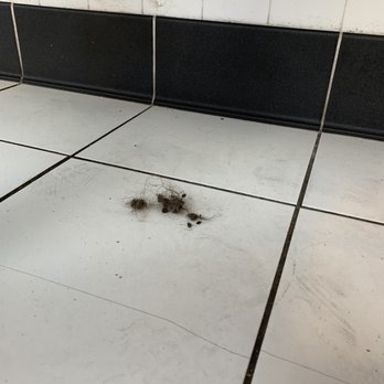 Penny's Diner - Hair ball under my seat - Diners Near Me - Glendive, Montana