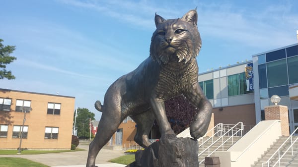 Johnson & Wales University Online by null
