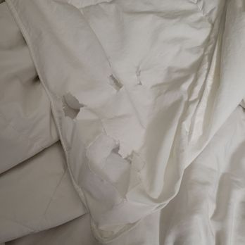 Comfort Inn Sandusky - Worn out comforter - Hotels Near Me - Sandusky, Ohio Comfort Inn Sandusky - Worn out comforter - Hotels Near Me - Sandusky, Ohio