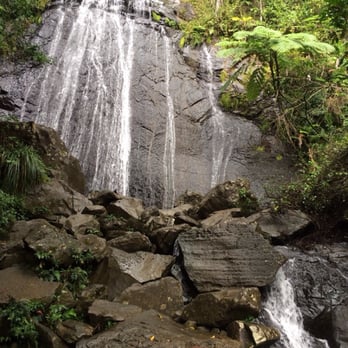 El Yunque Rainforest - Hiking Near Me - Luquillo, Puerto Rico