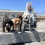 Photo of SF Walk With Me