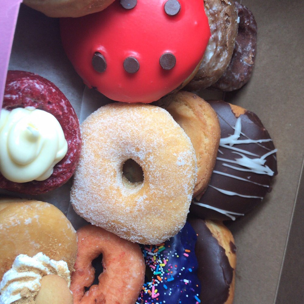 Love Bug's Bakery - Assorted Dozen - Donuts Near Me - Melbourne, Florida Love Bug's Bakery - Assorted Dozen - Donuts Near Me - Melbourne, Florida