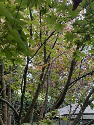 The Metro Hotel by null