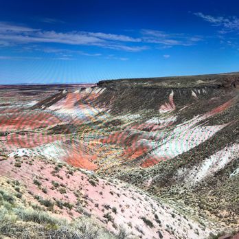 Petrified Forest National Park - Parks Near Me - Petrified Forest, Arizona