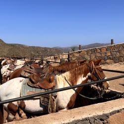 Rancho Los Bandidos
