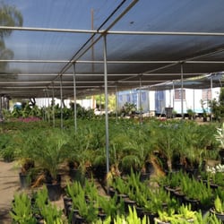 Starline Nursery Company - Storefront area