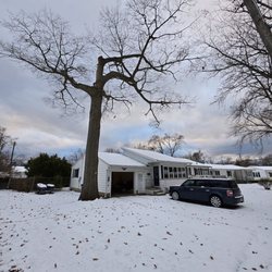 Able Tree Service - Full tree, Day before cutting begins.