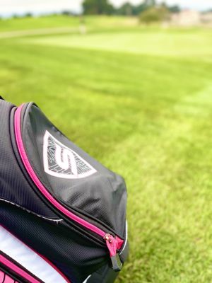 Bayonet & Black Horse by null