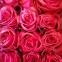Photo of Vintage Oceans Florists