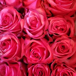 Vintage Oceans Florists