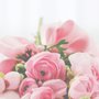 Photo of Fleur Story