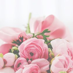 Fleur Story