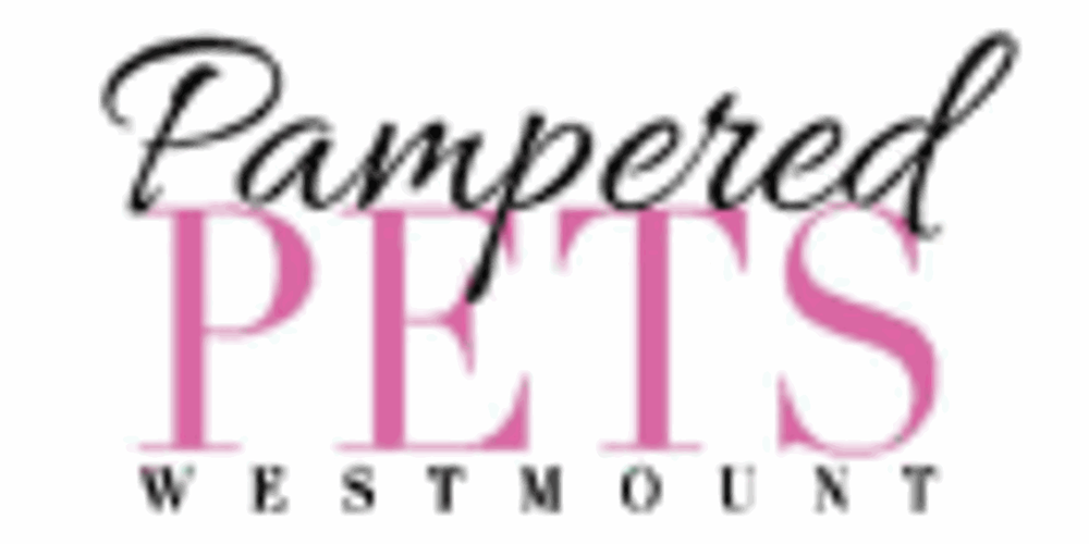 WESTMOUNT DOG GROOMING Updated July 2024 Sydney, Nova Scotia Pet Groomers Phone Number