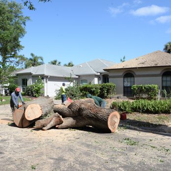 Lucas Tree Service - Tree Services Near Me - Atlantic Beach, Florida