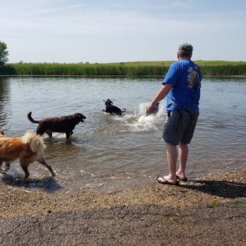 Batavia Bark Park - Playing in the water. - Pets Near Me - Batavia, Illinois