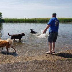 Batavia Bark Park - Playing in the water.