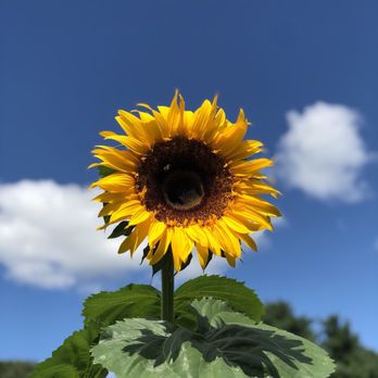 Parlee Farms - Farmers Market Near Me - Tyngsboro, Massachusetts