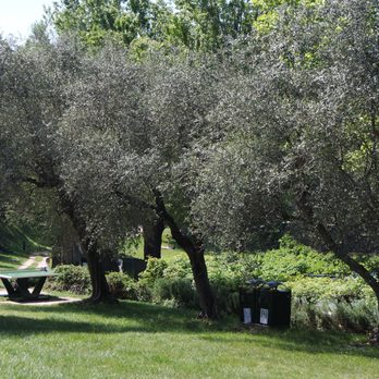 Parco Baia delle Sirene - Beaches Near Me - Garda, VR