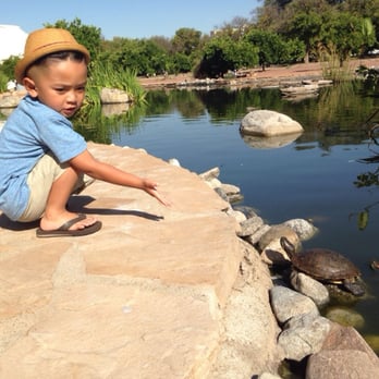 CSUN Pond - Parks Near Me - Los Angeles, California