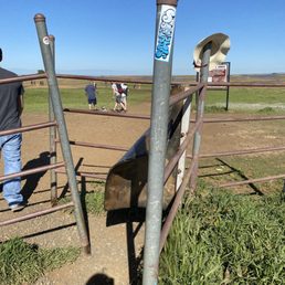 The gate you enter for Phantom Falls.