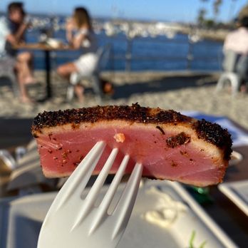NDMK Fish House - Blackened yellowtail - Sushi Bars Near Me - Avalon, California NDMK Fish House - Blackened yellowtail - Sushi Bars Near Me - Avalon, California