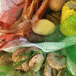 Bayou Cane Seafood - King crab and red shrimp with potatoes, sausage and corn