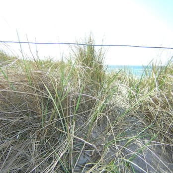 Strandperle - Dünen am Schwarzen Busch - German Near Me - Insel Poel, MV
