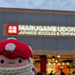 Marugame Udon - :D