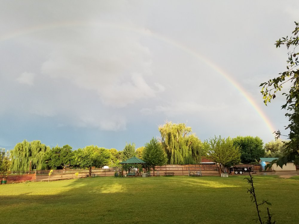 Bosque Circle Ranch - equestrian in Albuquerque, NM