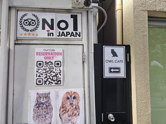 Owl Cafe Tokyo by null