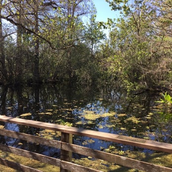 Audubon's Corkscrew Swamp Sanctuary - Hiking Near Me - Naples, Florida Audubon's Corkscrew Swamp Sanctuary - Hiking Near Me - Naples, Florida