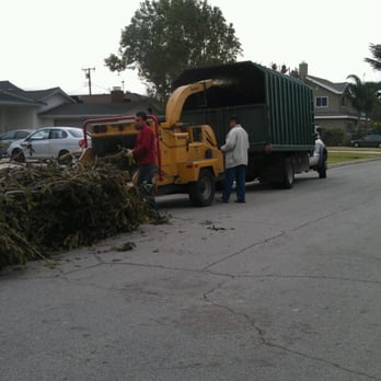 Ramon's Tree Service - gring grind grind those branches.. Make sure you guys don't get caught in there!!! - Tree Services Near Me Ramon's Tree Service - gring grind grind those branches.. Make sure you guys don't get caught in there!!! - Tree Services Near Me