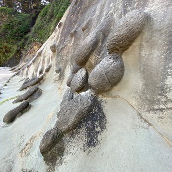 Cape Arago State Park - Be sure to do some exploring down on Simpson beach to see some truly unique rock formations - Parks Near Me - Coos Bay, Oregon Cape Arago State Park - Be sure to do some exploring down on Simpson beach to see some truly unique rock formations - Parks Near Me - Coos Bay, Oregon