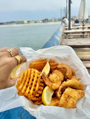 The Tin Fish by null
