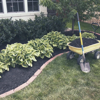 DeLeon Landscapes - a wheelbarrow in a garden - Landscaping Near Me DeLeon Landscapes - a wheelbarrow in a garden - Landscaping Near Me