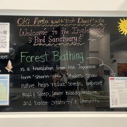 Inglewood Bird Sanctuary - Benefits of forest bathing
