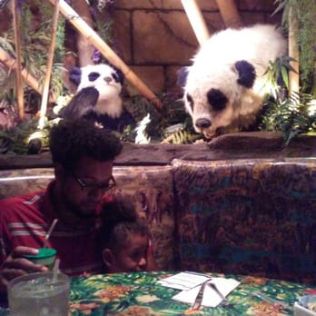 Rainforest Cafe - Jyselle n pappa w the pandas! - American Near Me - San Antonio, Texas Rainforest Cafe - Jyselle n pappa w the pandas! - American Near Me - San Antonio, Texas