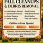 ASAP Lawn Care