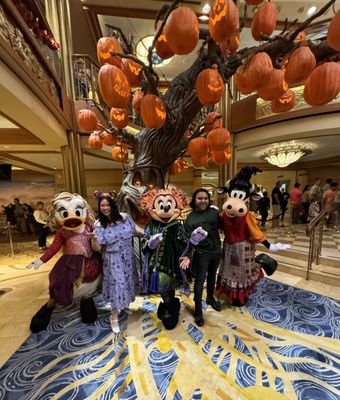 Disney Dream by null