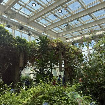 Peggy Notebaert Nature Museum - Butterfly house - Museums Near Me - Chicago, Illinois Peggy Notebaert Nature Museum - Butterfly house - Museums Near Me - Chicago, Illinois