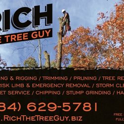 Rich The Tree Guy - Rich The Tree Guy
