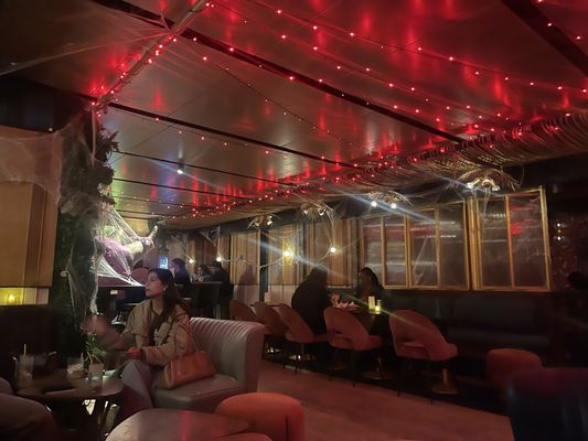 Ra-Ra Rhino (speakeasy thru the photobooth ) by null