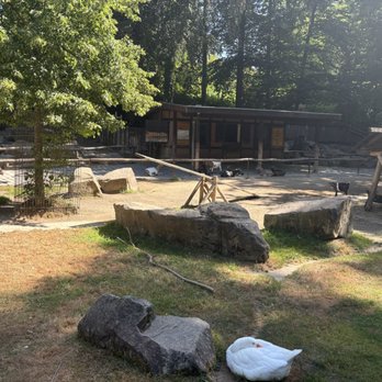 Zoo Dortmund - Zoos Near Me - Dortmund, NW Zoo Dortmund - Zoos Near Me - Dortmund, NW