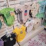 Photo of Wild Cat Gift and Party